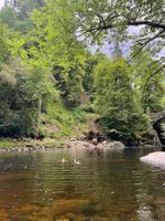 Photo 4 of The Hermitage, Dunkeld