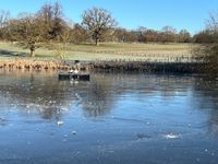 Waresley estate park
