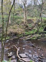 Photo 4 of Ashworth Valley Waterfall