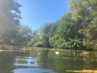 Photo 2 of Saxon Mill Guys Cliffe River Avon