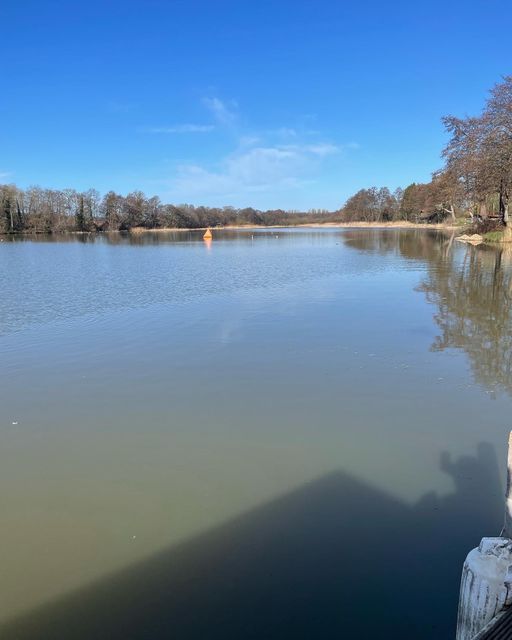 Gosfield lake