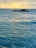 Photo 4 of Mousehole Harbour