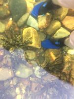 Photo 3 of Cromalt Bay