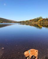 Photo 2 of Gortin Glen Lakes