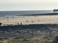 Photo 5 of Newton Beach