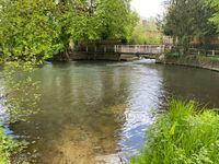 Photo 2 of Shotesham Ford