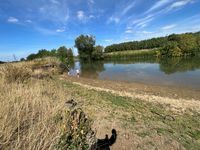 Thames swim (Newbridge)