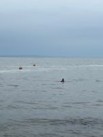 Photo 3 of Babbicombe Beach