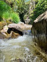 Photo 2 of Wolf's Leap