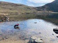 Photo 5 of Coire-Fionn Lochan