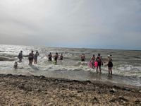 Photo 3 of West Mersea