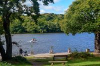 Photo 2 of Blackroot