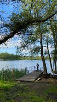 Pickmere Lake