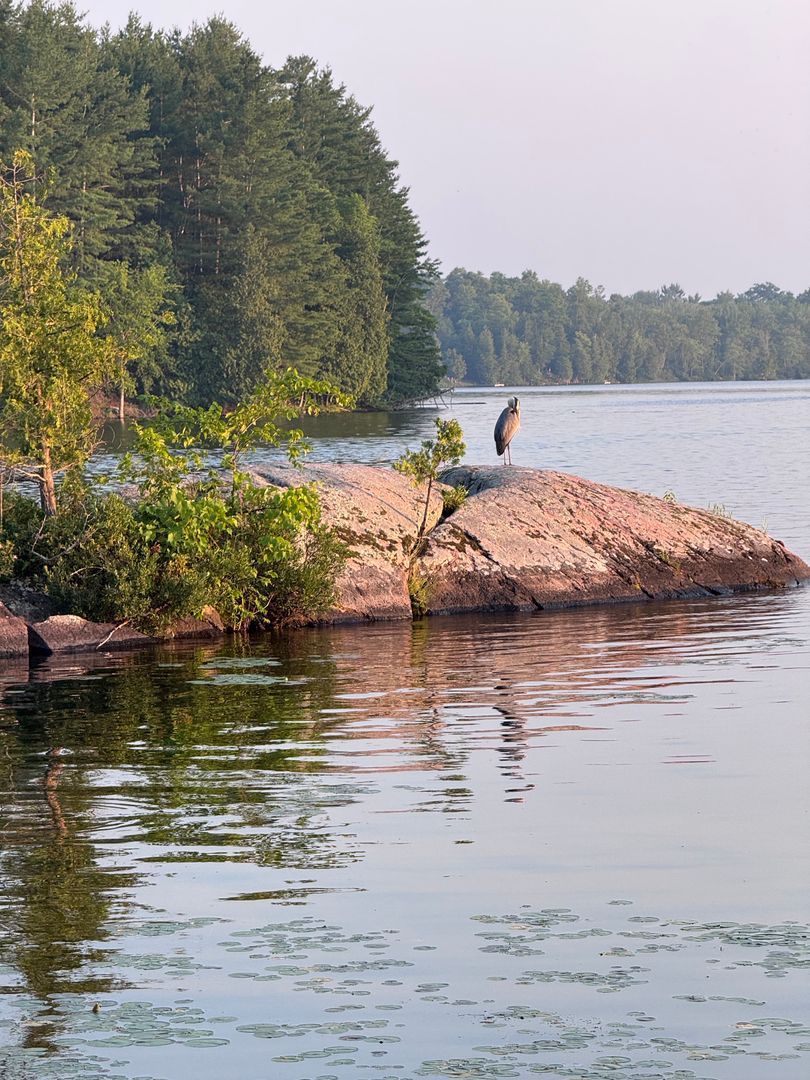 Hawley Bay, Sharbot Lake, East Basin