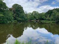 Photo 2 of Hampstead Heath (Mixed Pond)