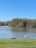 Photo 2 of Gosfield lake