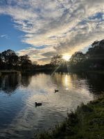 Photo 4 of Beckenham Place Park lake