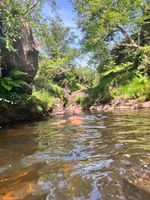 Photo 4 of Wash Pool