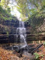 Old Roar Gill & Coronation Wood