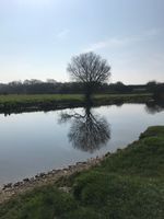 Photo 3 of Dragonfly Lane