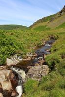 Photo 4 of Wolf's Leap