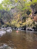 Photo 4 of Fairy Glen, Betws-Y-Coed
