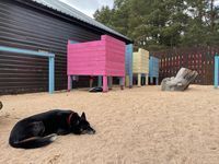 Photo 5 of Loch Morlich