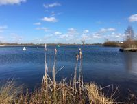Photo 3 of Love Open Water Nottingham