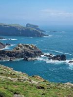 Skomer Island Pembrokeshire