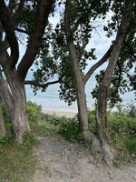 Photo 5 of Magheramore Beach