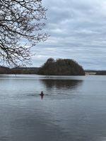 Photo 5 of Gartmorn dam