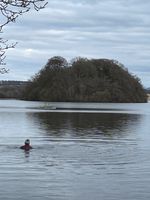 Photo 4 of Gartmorn dam