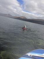 Photo 3 of Inveraray Barn Brae