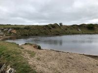 Photo 3 of The Pony Pool, Minions