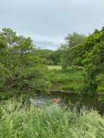 Photo 4 of Matlock Swoosh