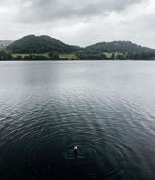 Photo credit @jessiebirts on Instagram