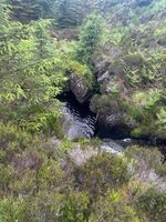 Photo 4 of Kielder Forest Drive