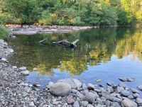 Photo 3 of Linn a' chullaich