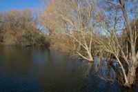 Photo 2 of Colwick West Lake
