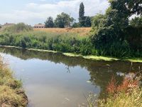 Photo 5 of River Yeo at Congresbury