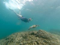 Photo 5 of Snoopy Island