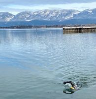 Photo 3 of Flathead Lake - Salish Point Park