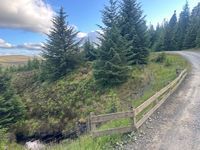 Photo 5 of Kielder Forest Drive