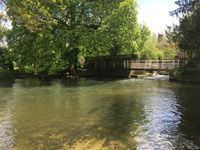 Photo 3 of Shotesham Ford