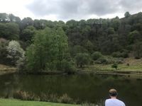 Photo 4 of Punchbowl