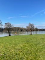 Photo 4 of Gosfield lake