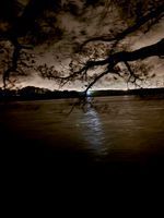 Photo 5 of Ingbirchworth reservoir