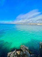 Photo 3 of Newquay Harbour