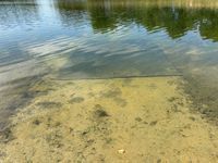 Photo 5 of South Elmham Lakes