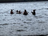 Photo 2 of Loch Tay - Kenmore